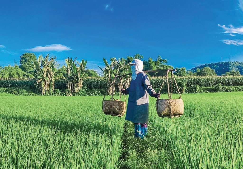 Nét văn hóa trong nông cụ truyền thống của người Tày, Nùng